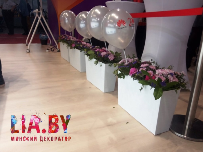 белые пластиковые вазоны высота 42см. длина 56см. толщина 19см. в аренду Минск белые пластиковые вазоны высота 42см. длина 56см. толщина 19см. в аренду Минск