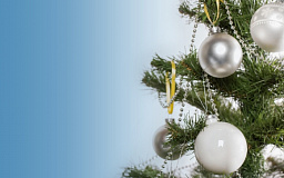 Начата запись на резерв декораций для Нового Года 2026 Начата запись на резерв декораций для Нового Года 2026